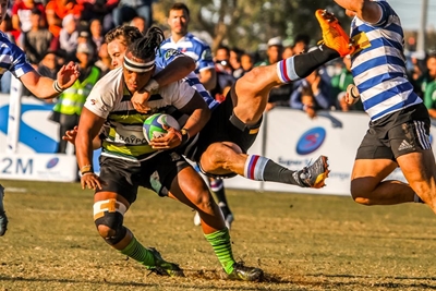 Arende plaas hul lywe op die spel