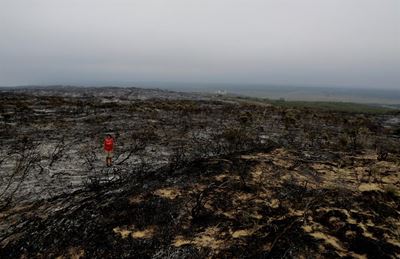 Blombos in vlamme