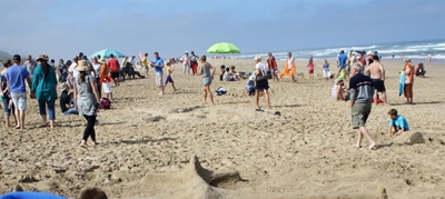 Sedgefield beaches safer over season