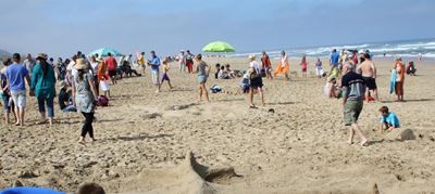 Sedgefield beaches safer over season