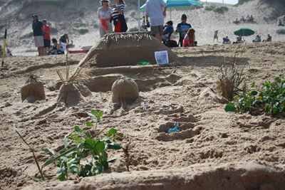 Nkandla comes to Sedgefield