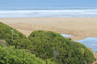 Sand skimmed at Swartvlei Mouth