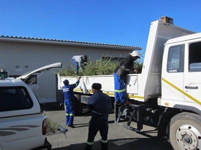 Resident donates 3 000 trees