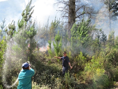 Brand by Rust en Vrede waterval