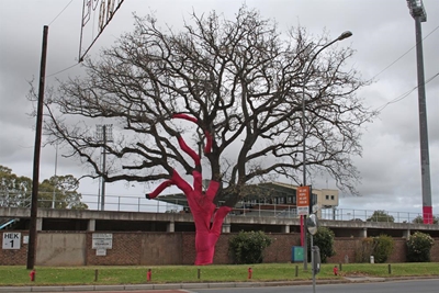 Pink Trees for Pauline