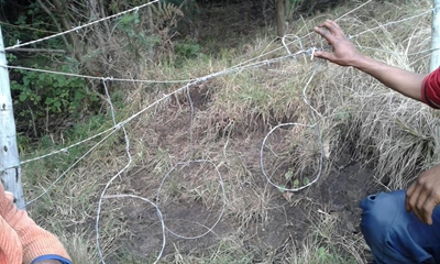 3 onwettige jagters gearresteer