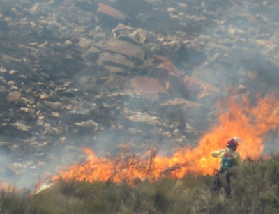 Verwoestende vuur in Swartberg