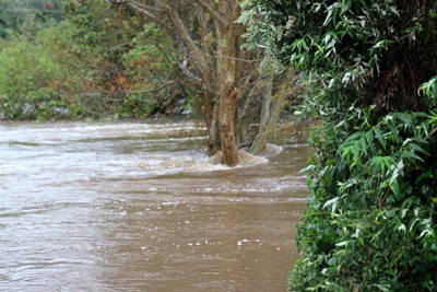 A river runs through it