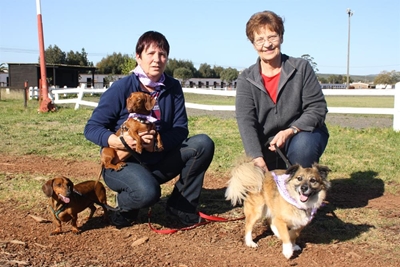 Honde blaf en stap vir Kansa
