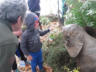 Forest comes alive for kids