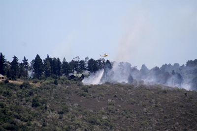 Firebreaks are vital