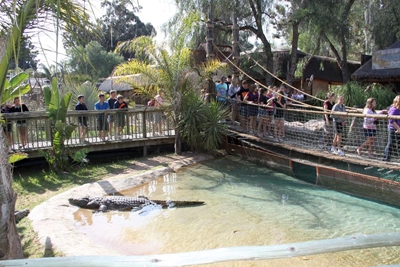 Cango Wildlife Ranch: Gratis vir skoolgroepe