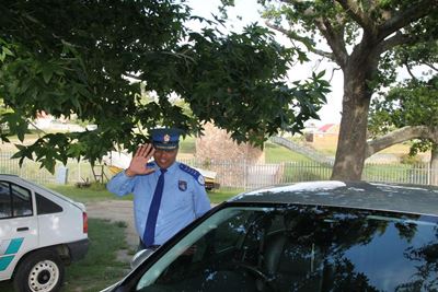 Update: Traffic chief gets green light