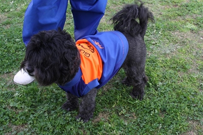 'n Hond wat sy hengel ken