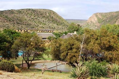 Calitzdorp-pa se toekoms op ys