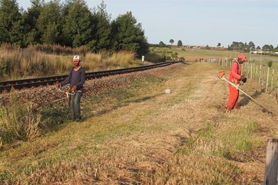 Transnet rail reserves cleaned