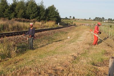 Transnet rail reserves cleaned