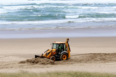 Whale buried at Swartvlei Beach