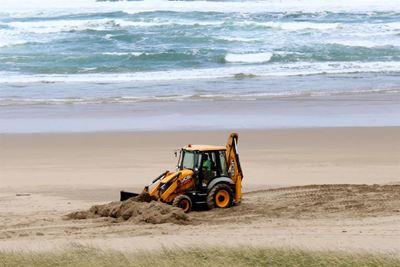 Whale buried at Swartvlei Beach