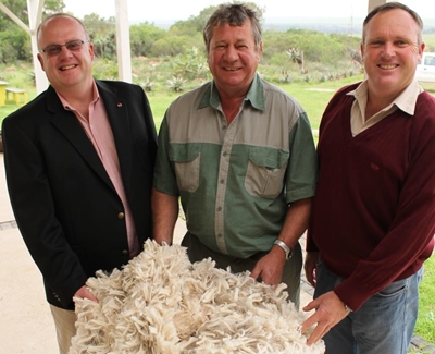 Wolprys skitter vir Mosselbaai