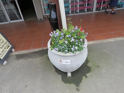 Main street blooms a labour of love