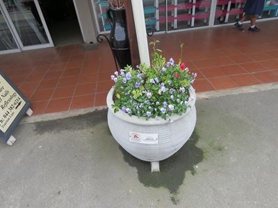 Main street blooms a labour of love