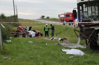 Groot Brak in rou