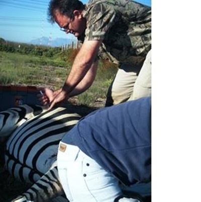 Game farming boosts economy