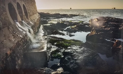 Explore Cape Town's corners in Knysna