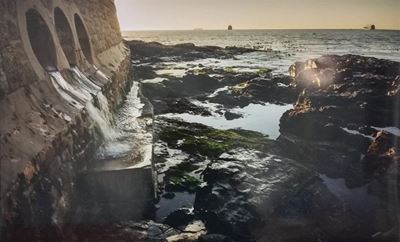Explore Cape Town's corners in Knysna