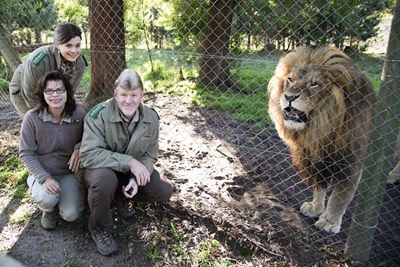 Jukani may soon adopt Egyptian cub