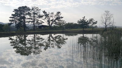 Zen 'gem' in Victoria Bay