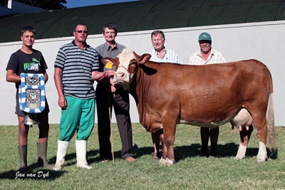 Beesafdeling vir eerste keer onderdak