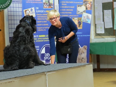 Lots happening at the SPCA