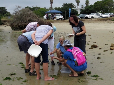 Explore the Knysna Basin with Wessa