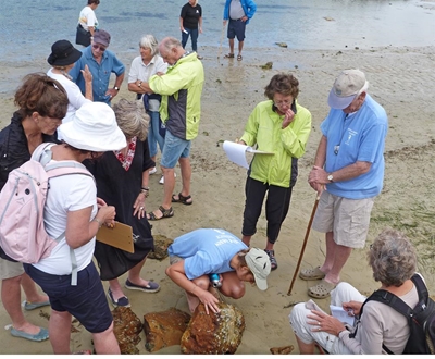 Meet Knysna's most colourful locals