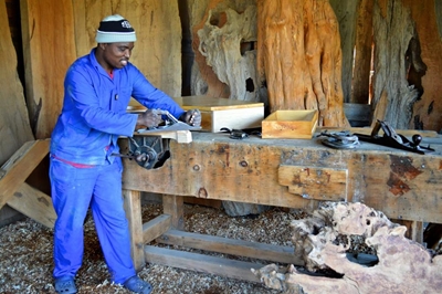 Timber fest to help revive forest heritage