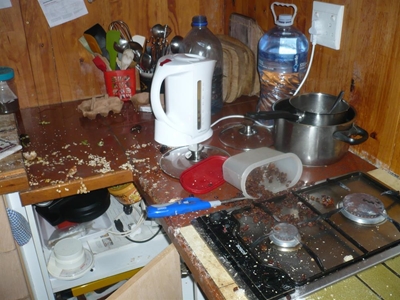 2 Huisinbrake binne 1 maand