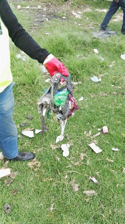 Rubbish responsible for sewage spill