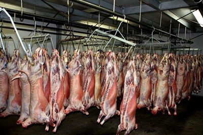 Famous Laingsburg lamb - buy it from Hartman & Sons Butchery