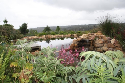 Indigenous retreat garden