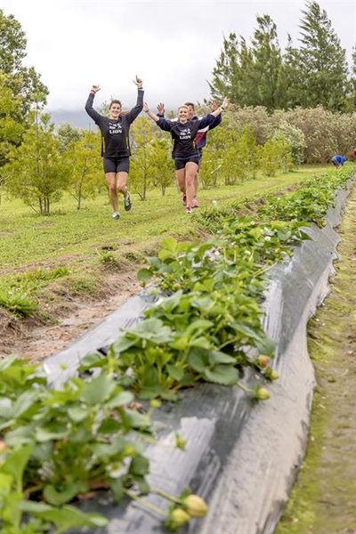 Strawberries, trail running and playing at Strawberry Festival