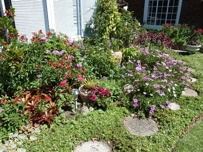 Leisure Isle Open Gardens 2015