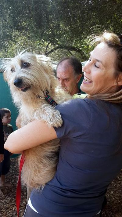 One-of-a-kind dogs go to market