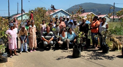 Arbor week comes early for Touwsranten
