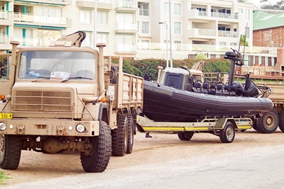 Unusual excitement in the bay