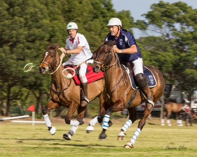 Mark Rubin shines for SA Veterans in Polocrosse