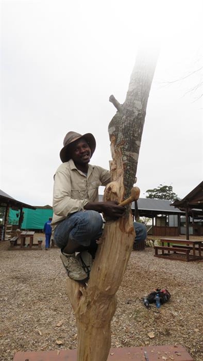 Da Vinci inspires Michael Nyoni