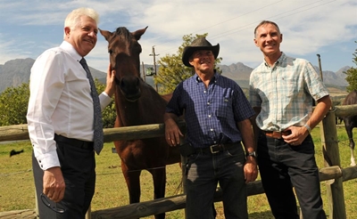 Testing campaign ongoing following African Horse Sickness