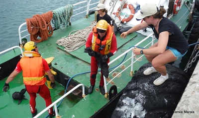 NSRI beleef stil seisoen